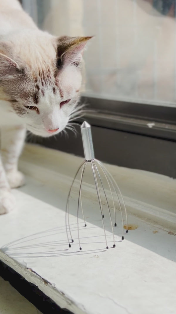 Kikkerland Head Massager