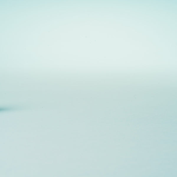 Kikkerland Hedgehog Nail Brush