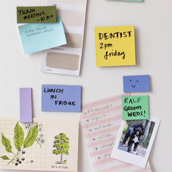 Kikkerland Inkerie Memo Magnets