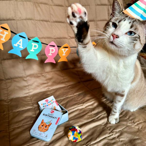 Kikkerland Kiko Cat Happy Birthday Kit