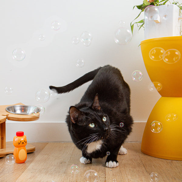 Kikkerland Kiko Catnip Bubbles