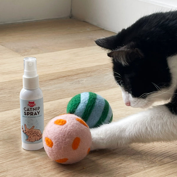 Kikkerland Kiko Spray & Play
