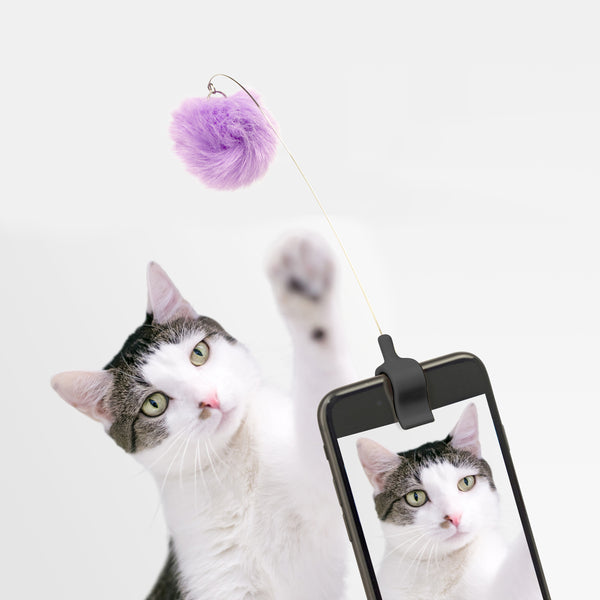 Kikkerland Kitty Phone Clip