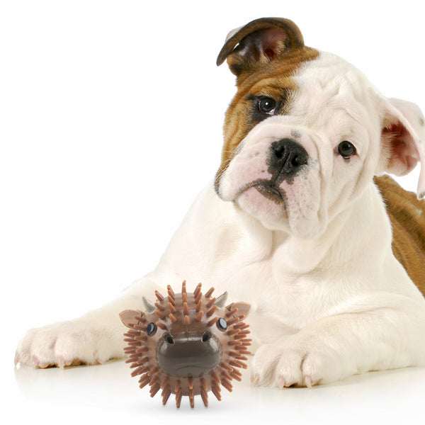 Kikkerland Kobe Cow Dog Ball