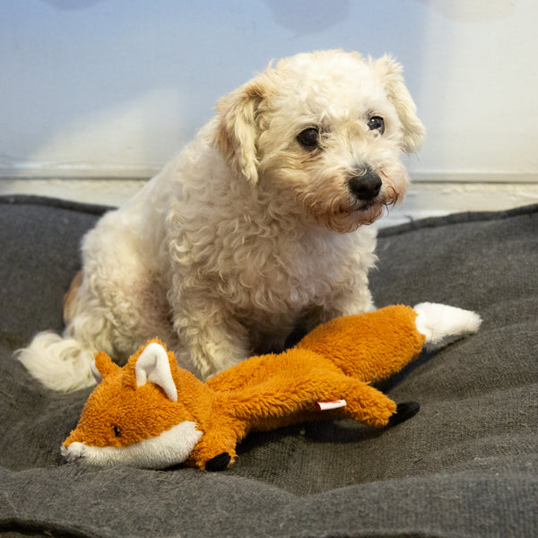 Kikkerland Kobe Flying Fox Toy