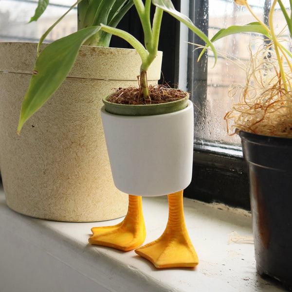 Kikkerland Large Duck Feet Planter