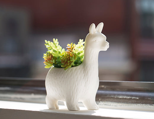Kikkerland Lloyd The Llama Planter