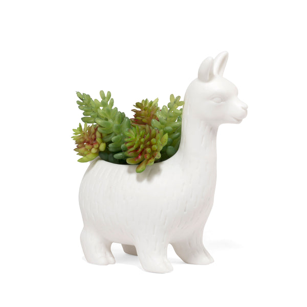 kikkerland Lloyd the Llama Planter