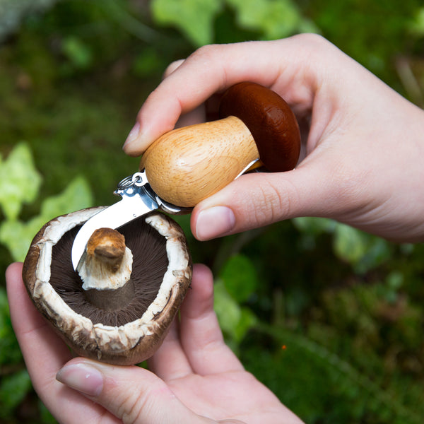 Kikkerland Mushroom Tool Keychain