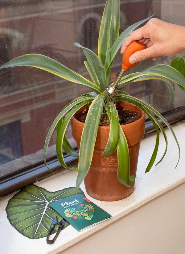 Kikkerland Plant Care Kit