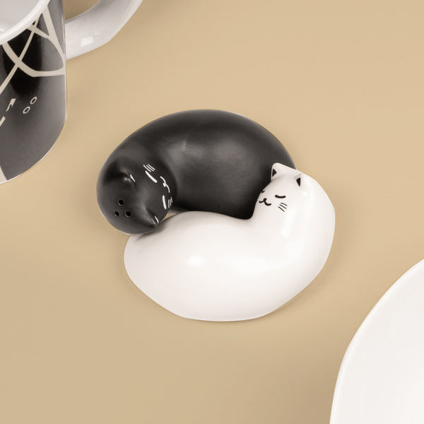Kikkerland Purrfect Salt & Pepper Shakers