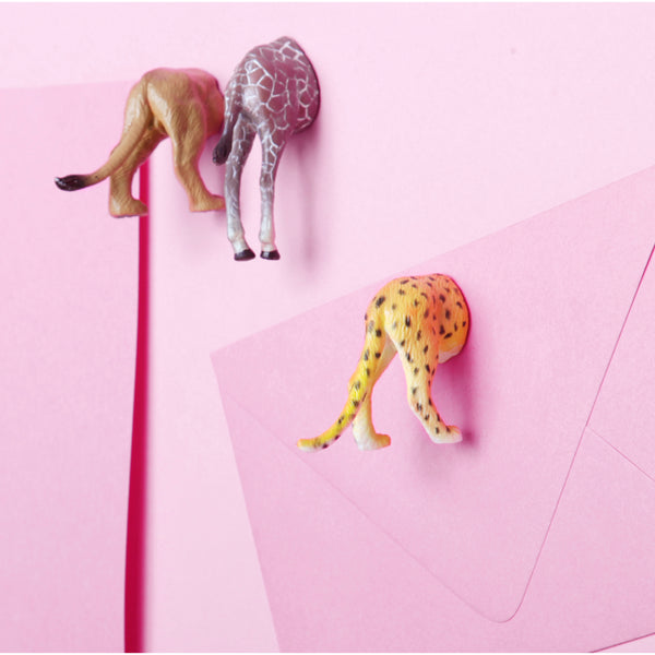 Kikkerland Safari Animal Butt Magnets