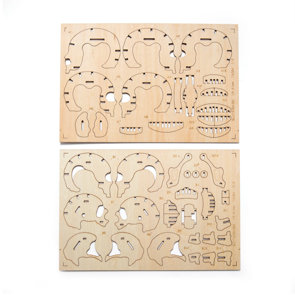 Kikkerland Skull 3D Wooden Puzzle
