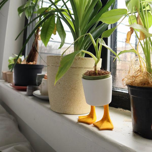 Kikkerland Small Duck Feet Planter