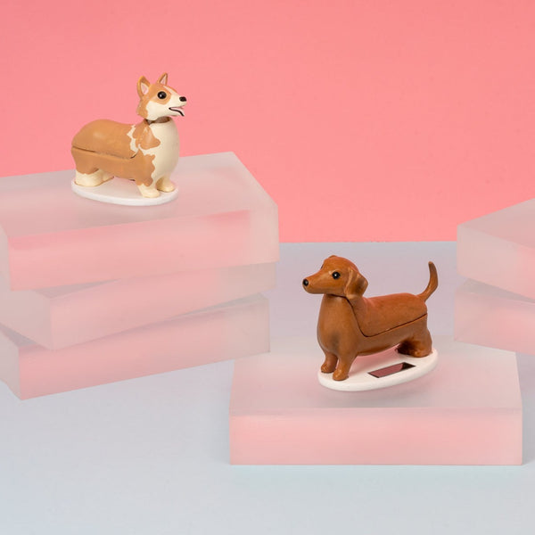 Kikkerland Solar Dachshund