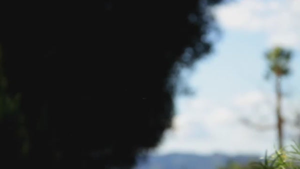 Kikkerland Solar Powered Double RainbowMaker®