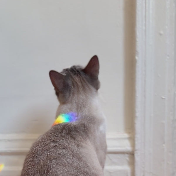 Kikkerland Solar Powered Heart RainbowMaker®