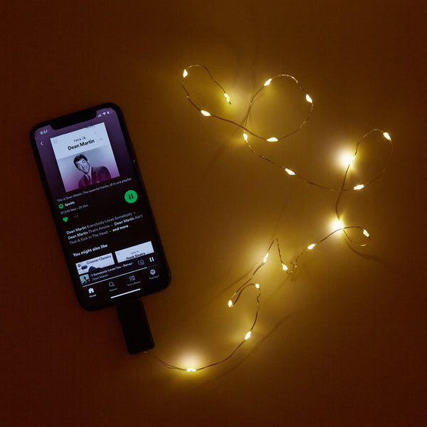 Kikkerland Sound Activated String Lights