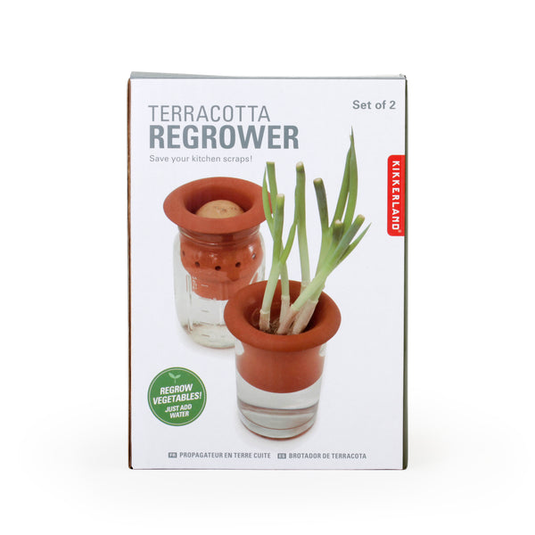 Kikkerland Terracotta Regrower