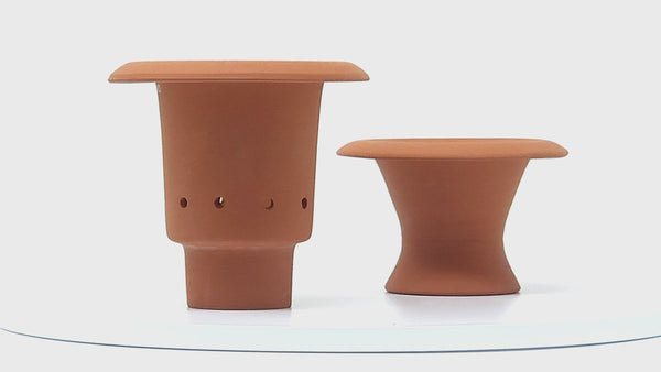 Kikkerland Terracotta Regrower