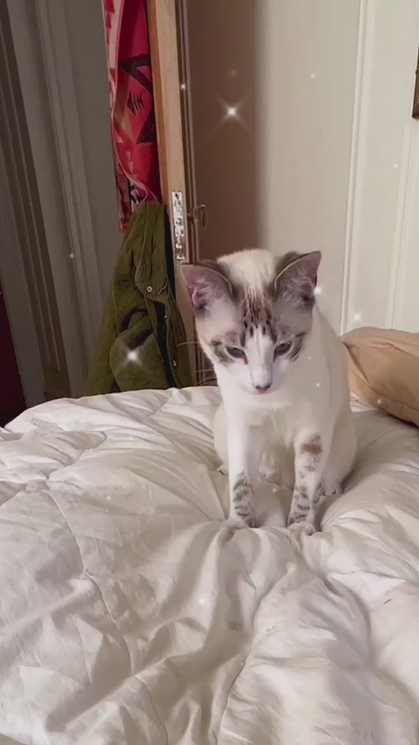 Kikkerland Thumb Massagers