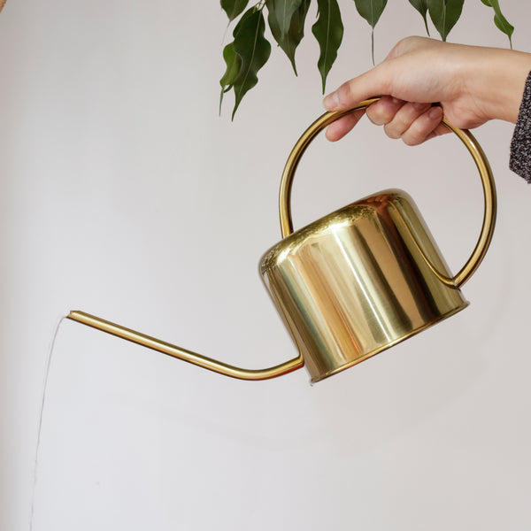 Kikkerland Vintage Watering Can