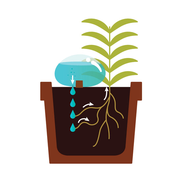 Kikkerland Water From A Stone