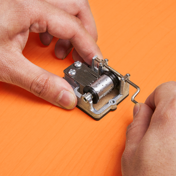 Kikkerland You Are My Sunshine Music Box