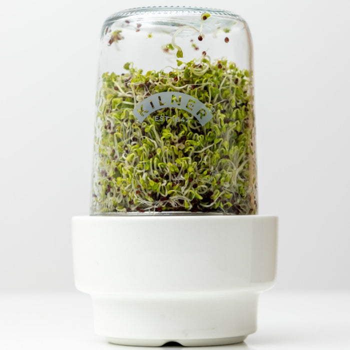 Kilner Sprouting 2 Piece Set