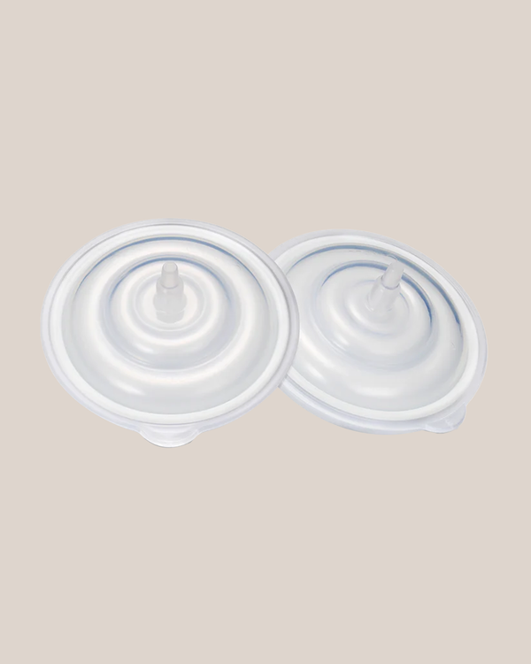 Kindred Bravely Cimilre - Collection Kit