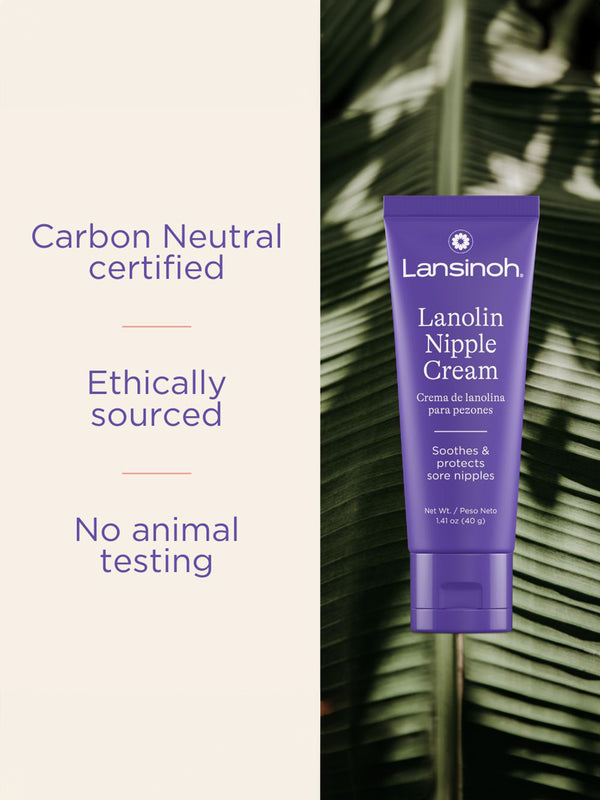 Kindred Bravely Lansinoh - Lanolin Nipple Cream