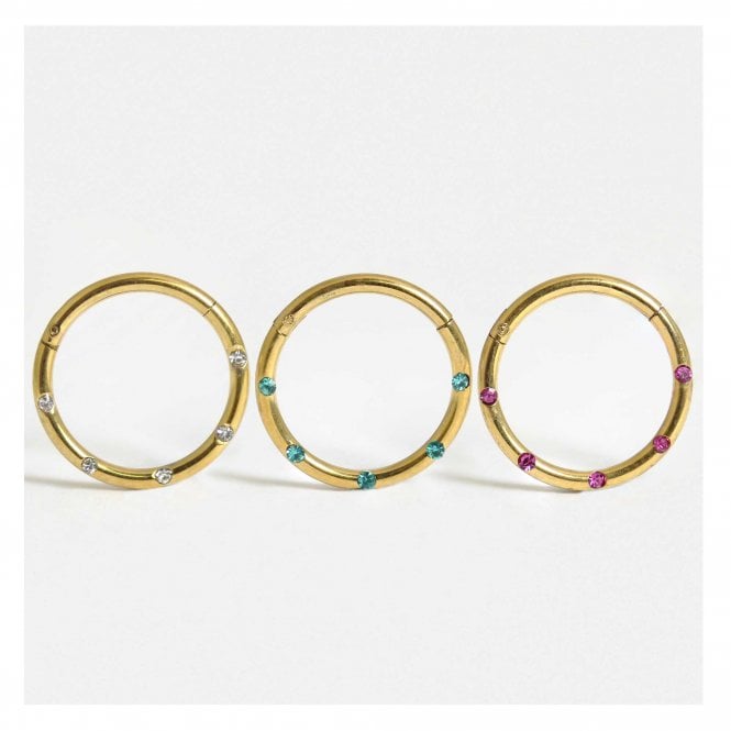 kingsley ryan Gold PVD Steel Multi Gem Hinged Segment Ring - 1.2mm