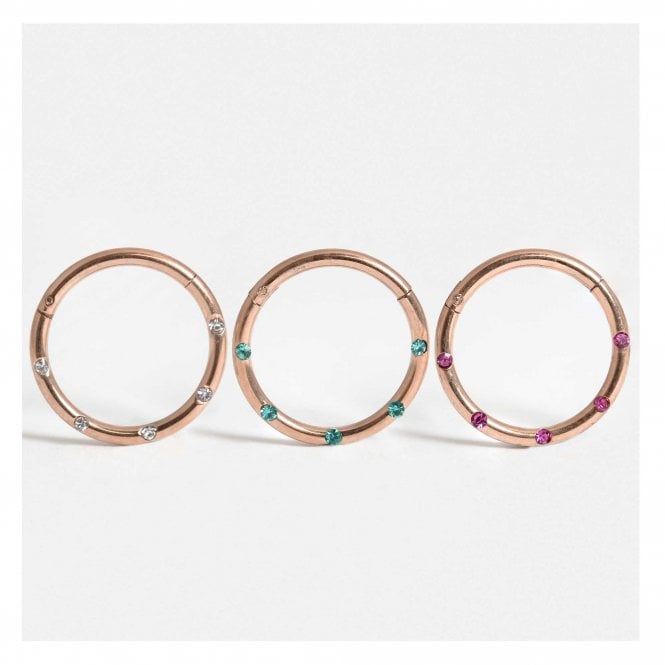 kingsley ryan Rose Gold PVD Steel Multi Gem Hinged Segment Ring - 1.2mm