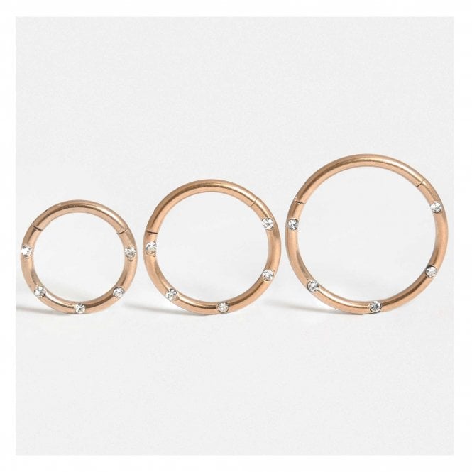 kingsley ryan Rose Gold PVD Titanium Multi Gem Hinged Segment Ring - 1.2mm
