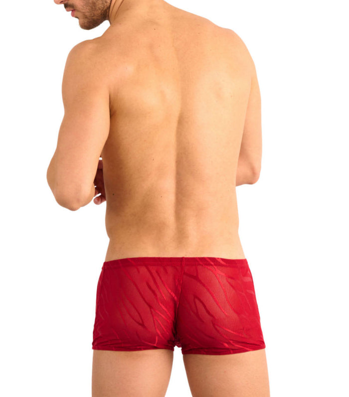 Kiniki Fizzy Hipster Scarlet Red