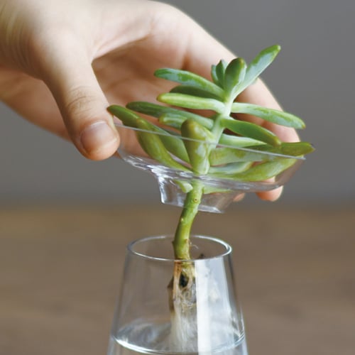 Kinto AQUA CULTURE VASE 80mm / 3in