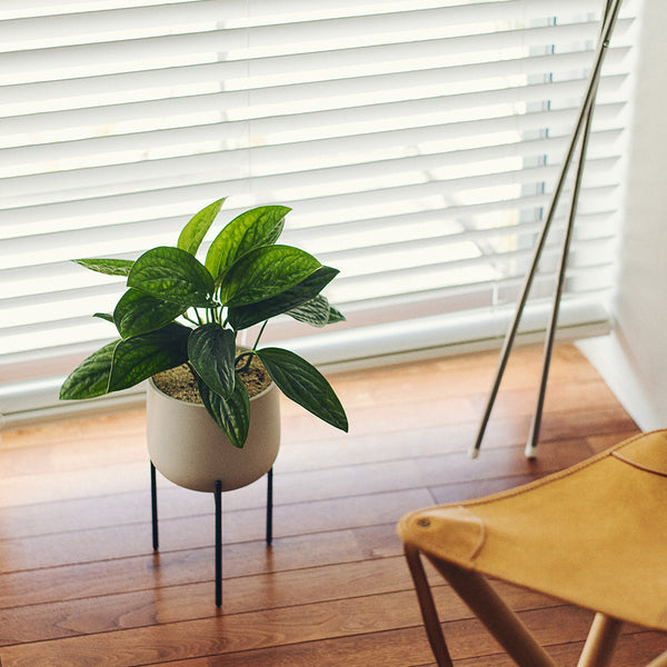 Kinto PLANT POT 211_ 160mm