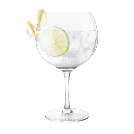 Kitchengrips Copa Gin Cocktail Glass