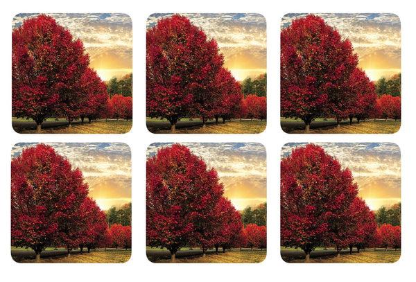 kitchengrips Cork Coasters Set Crimson Trees