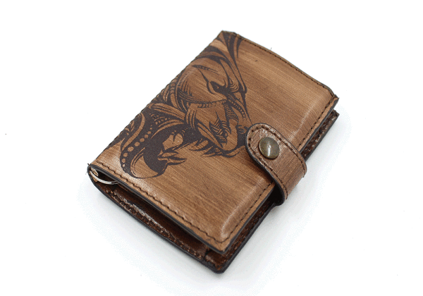 kjøre project Animal Lion