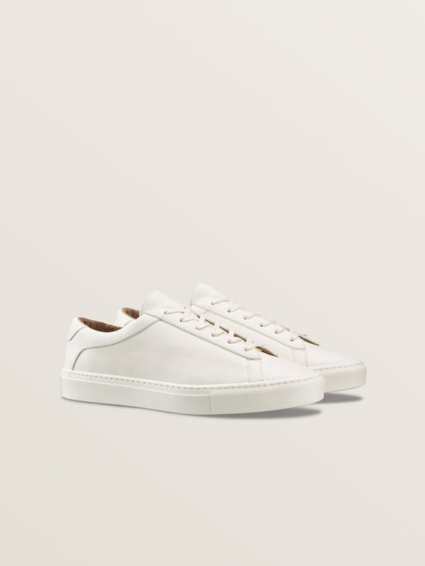 Koio Capri Regenerative