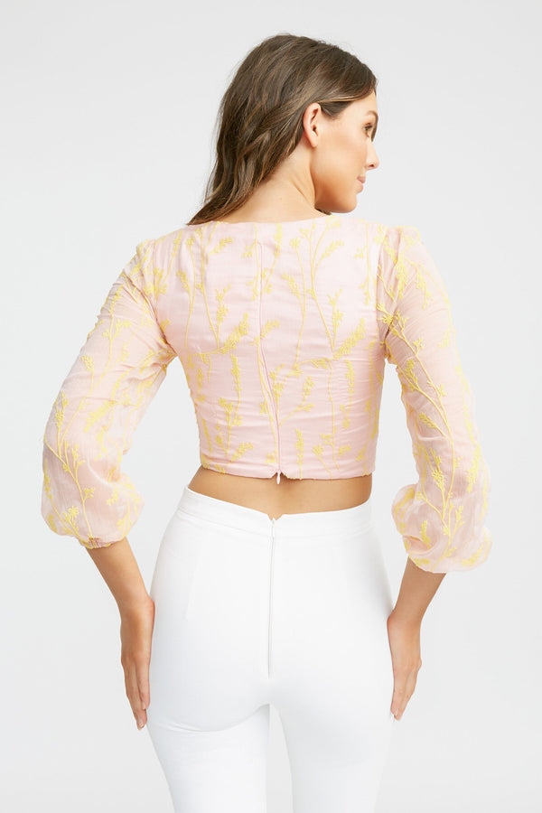 Kookai Pasadena Crop Top Multi