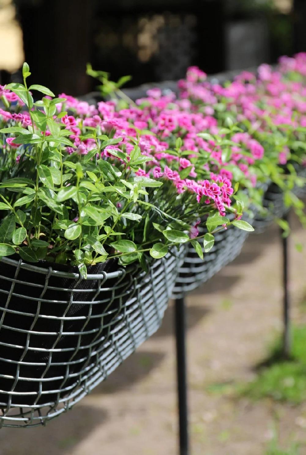 Korbo Balcony Planting Basket