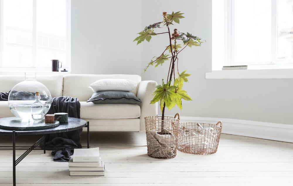 Korbo Classic Copper 35