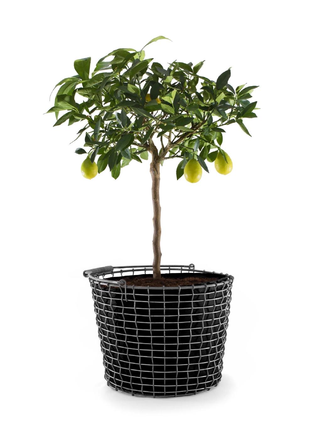 Korbo Planting Bag 16