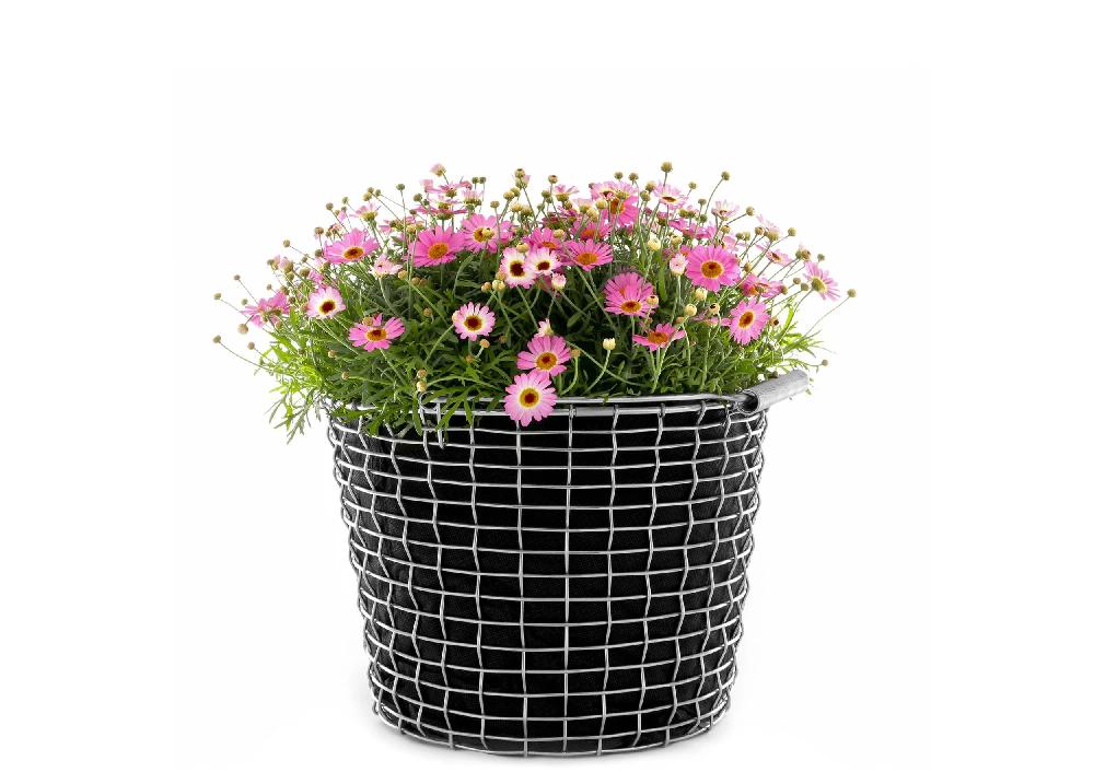 Korbo Planting Bag 16