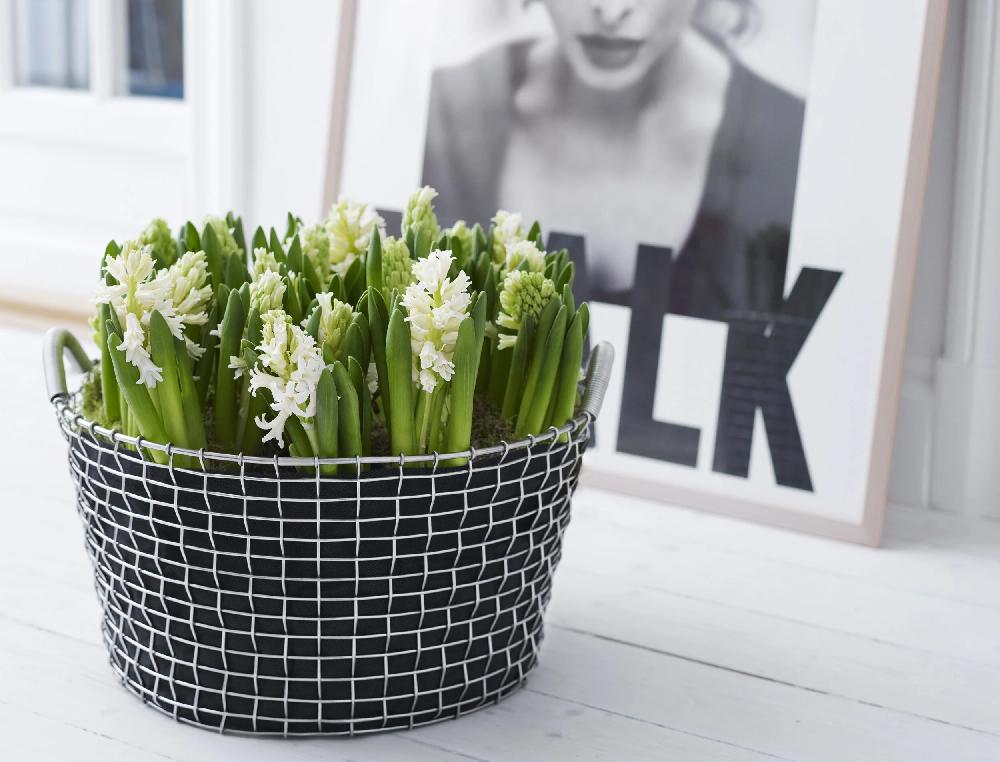 Korbo Planting Bag 35