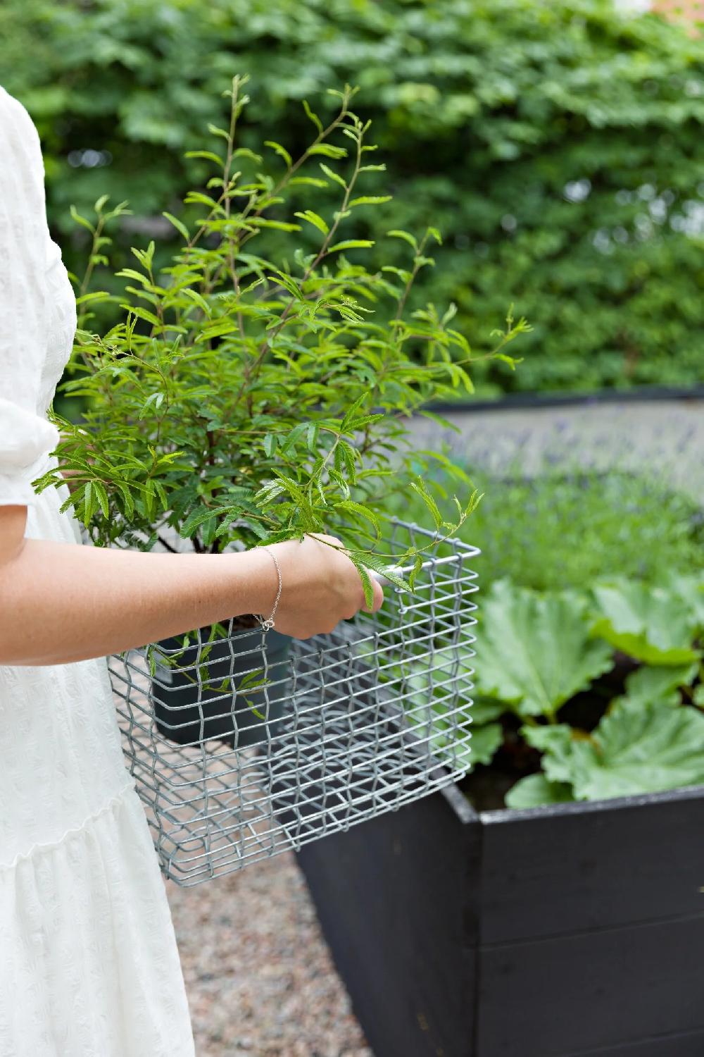 Korbo Rectangular 23 Galvanized