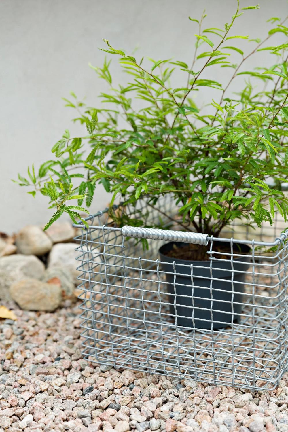 Korbo Rectangular 23 Galvanized