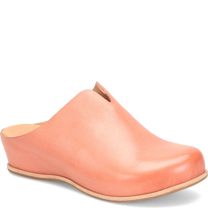 kork ease Para Colors Light Kerala